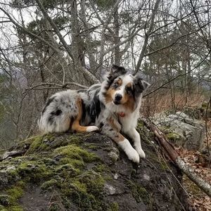 Meet your Posher, Kelli